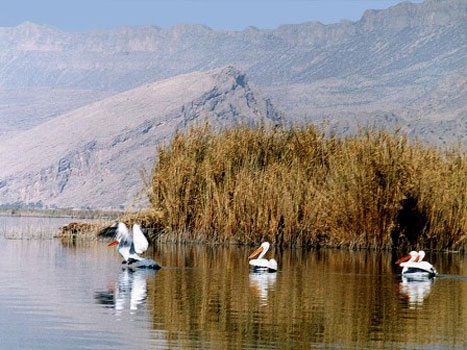 تالاب کانی برازان