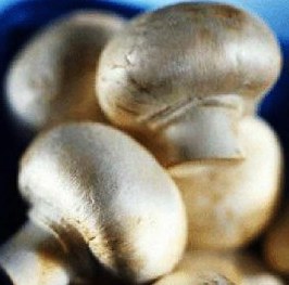 برای بیماران قلبی مضرند در قارچها وجود ندارند برای بیماران قلبی مضرند در قارچها وجود ندارند