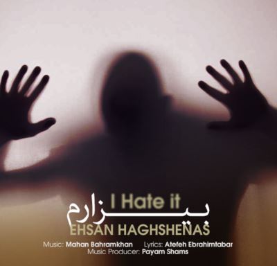 http://s5.picofile.com/file/8160062584/ehsan_haghshenas_bizaram.jpg