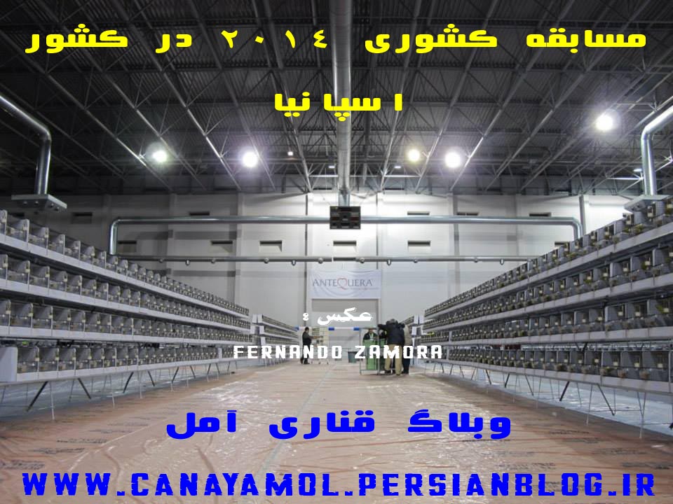 مسابقه کشوری 2014 در کشور اسپانیا ( COE 2014 ) مسابقه کشوری 2014 در کشور اسپانیا ( COE 2014 )