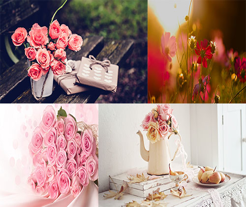 قشنگترین و زیباترین عکس ها از زیباترین گل ها با کیفیت بالا