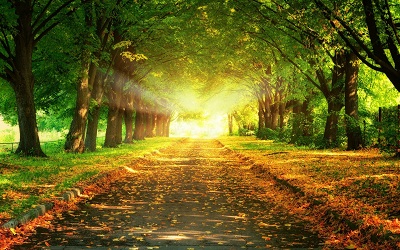 گذر زندگی ببالیم