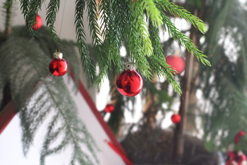 happy new year 2015 christmas tree December 25 اولین درخت کریسمس حلما گلی