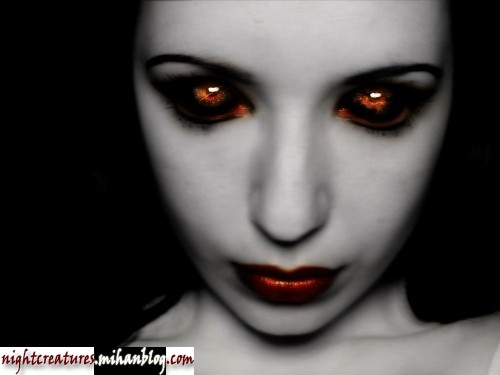 6.jpg (500×375)