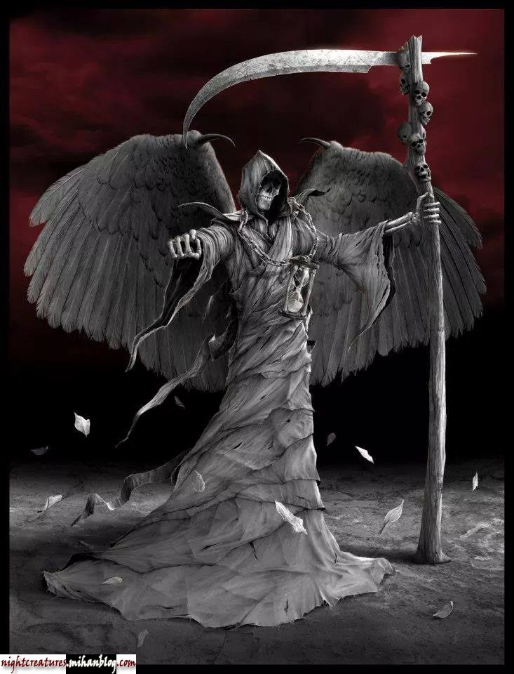 عکس_و_والپیپر_اسکلت_فانتزی_www_nightcreatures_mihanblog_com41.jpg (733×960)