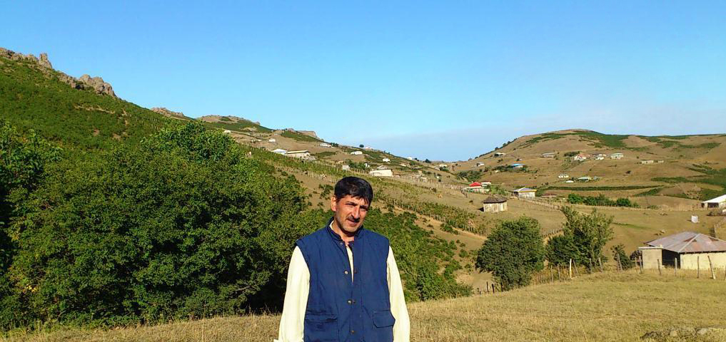 تصاویر تالش