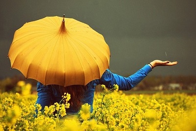 http://s5.picofile.com/file/8166346576/exe0z885flphh6f4p4w4.jpg