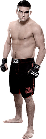نتایج رویداد UFC 183 : Silva vs. Diaz