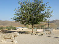 مشهد کاوه کاوه آهنگر