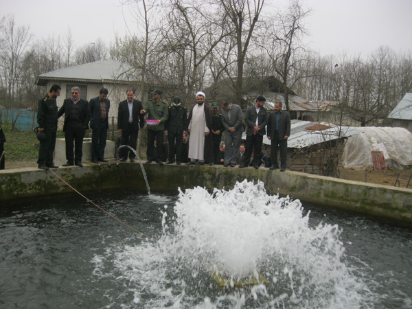 ماسال نیوز 