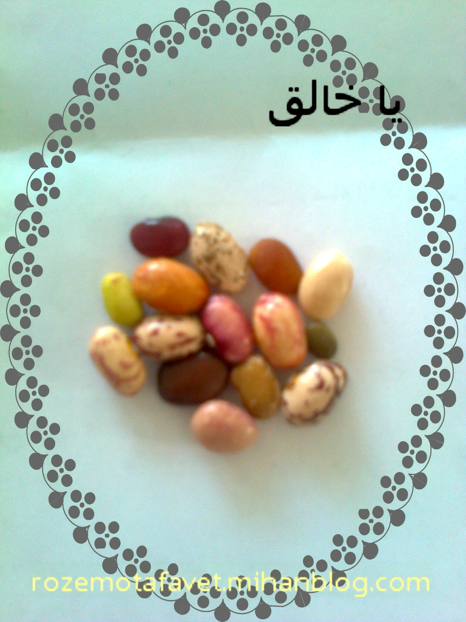 لوبیا