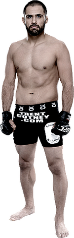 ))> پیش نمایش UFC Fight Night 61 : Bigfoot vs. Mir <((
