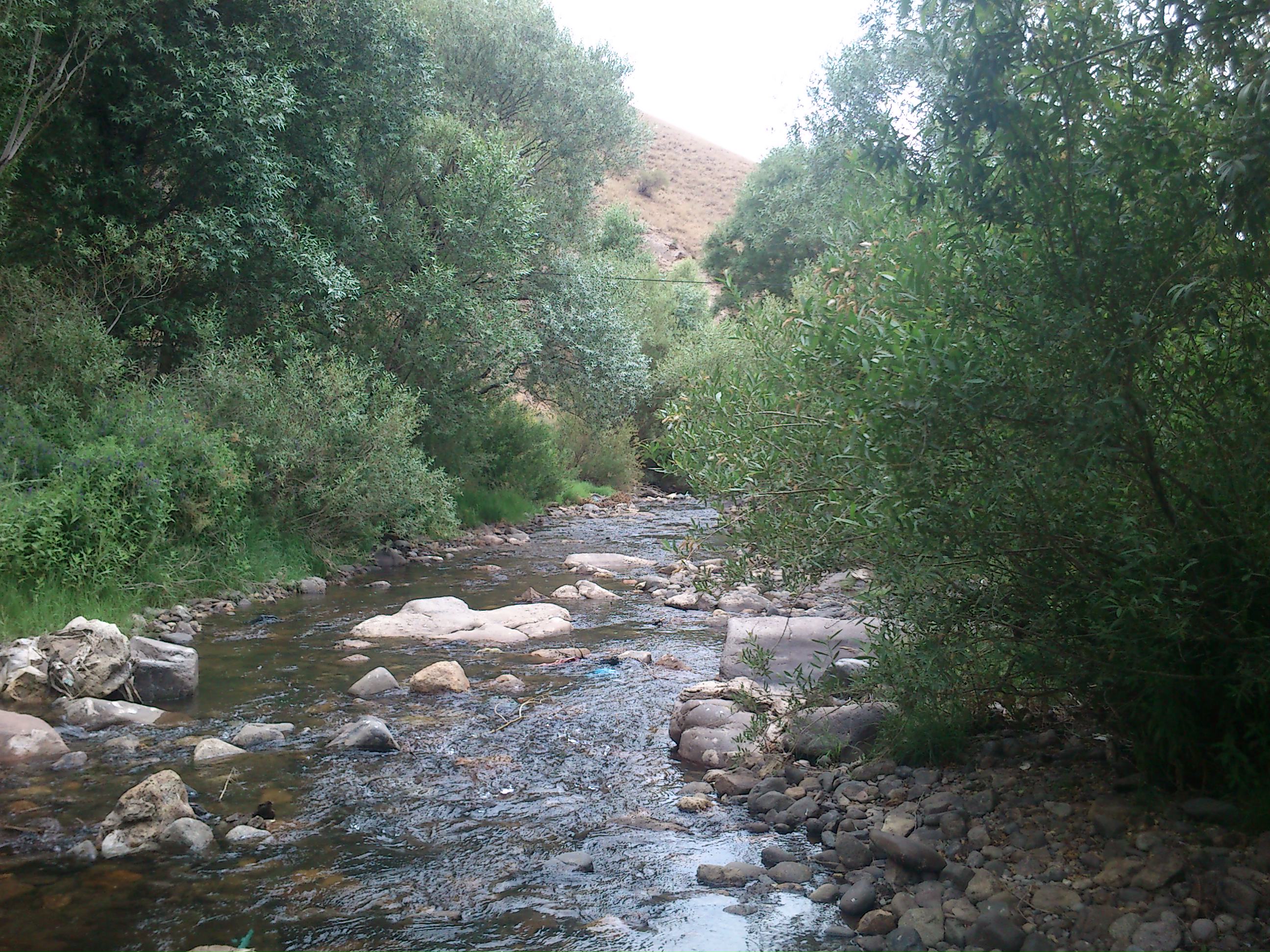 http://s5.picofile.com/file/8172572642/DSC_0009.JPG