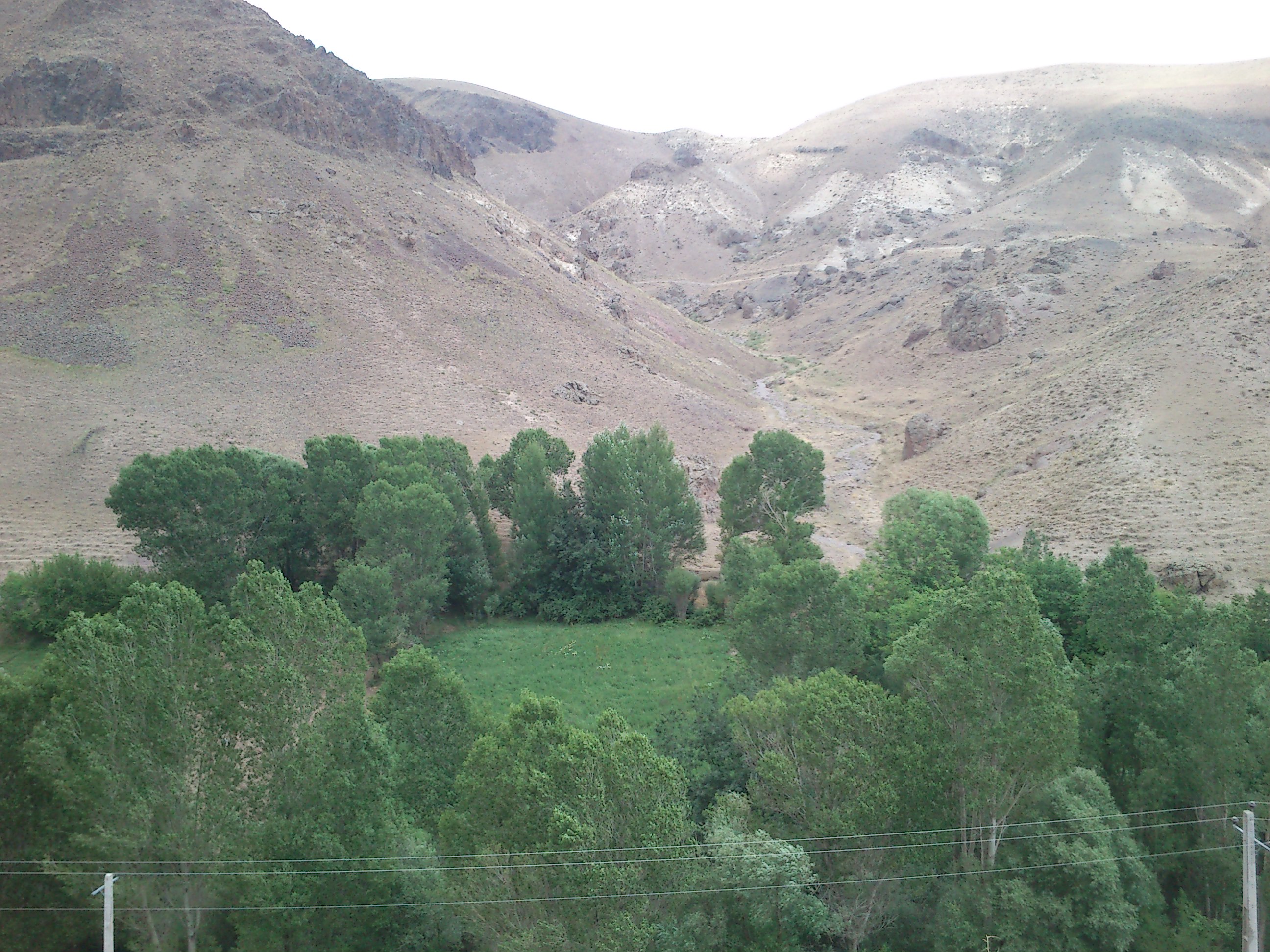 http://s5.picofile.com/file/8172572718/DSC_0016.JPG
