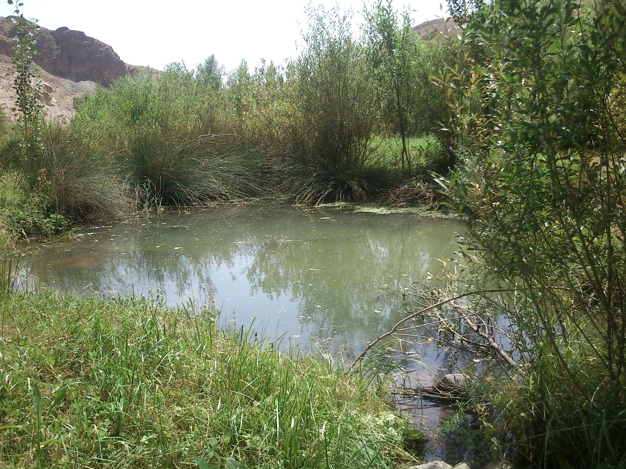 http://s5.picofile.com/file/8172572834/DSC_0099.JPG