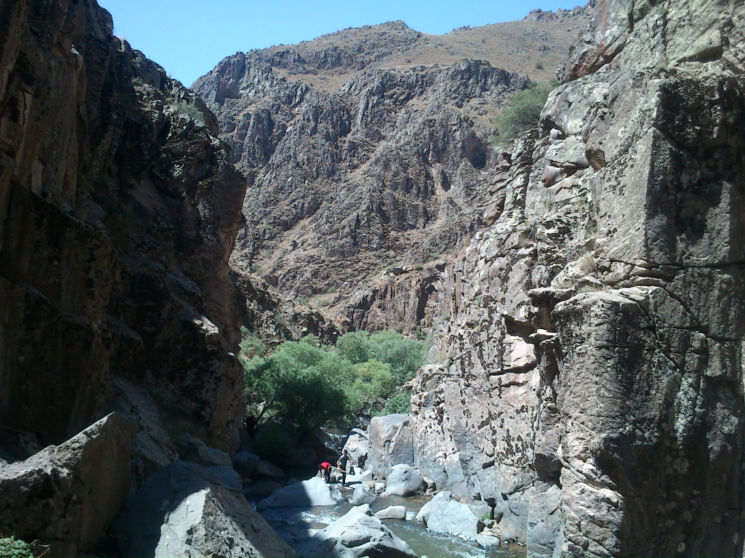 http://s5.picofile.com/file/8172573226/DSC_0138.JPG