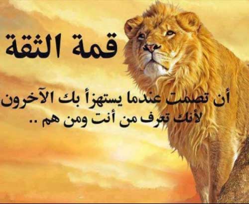 صور مکتوب علیها حله کلمات