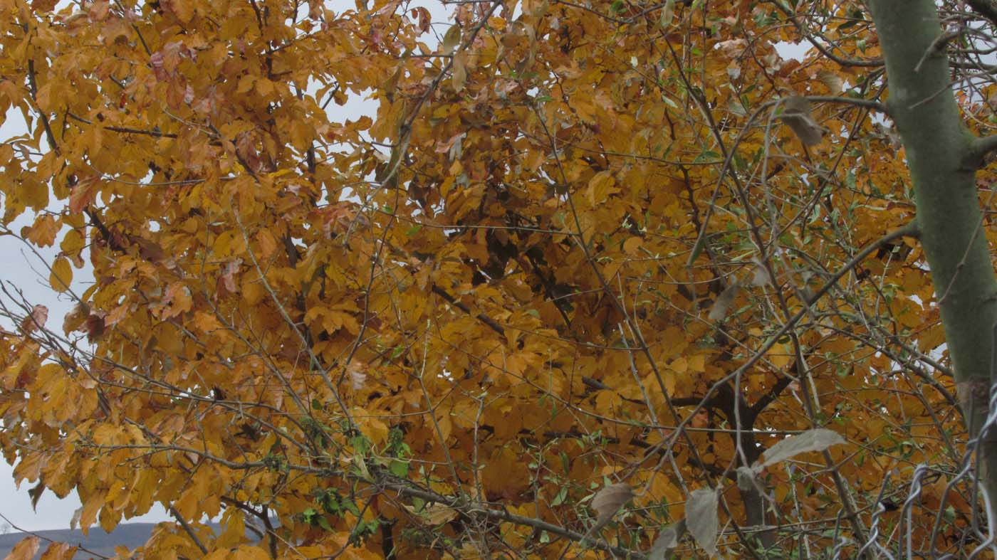 1_3_.jpg (1400×787)