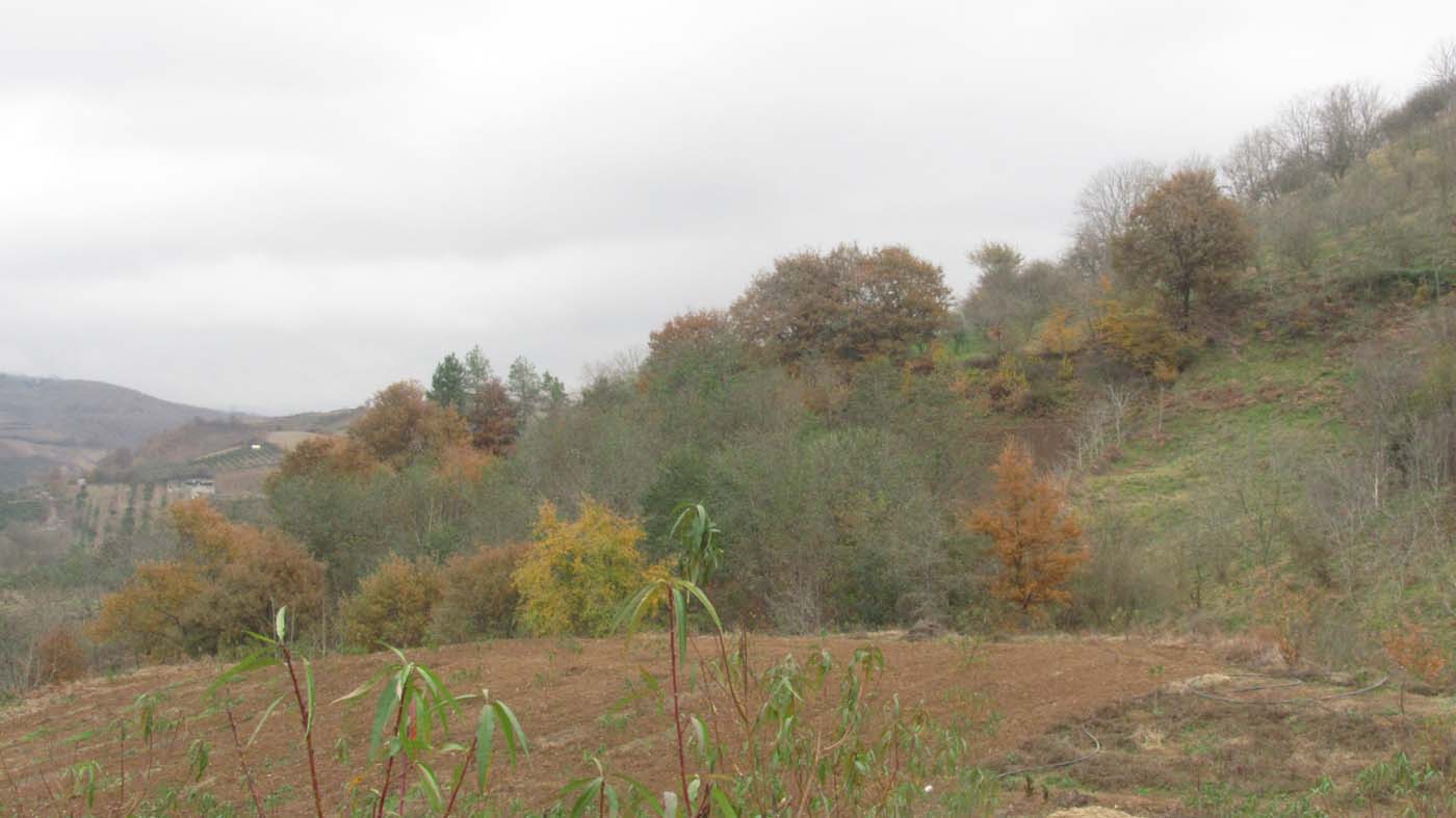 1_10_.jpg (1400×787)