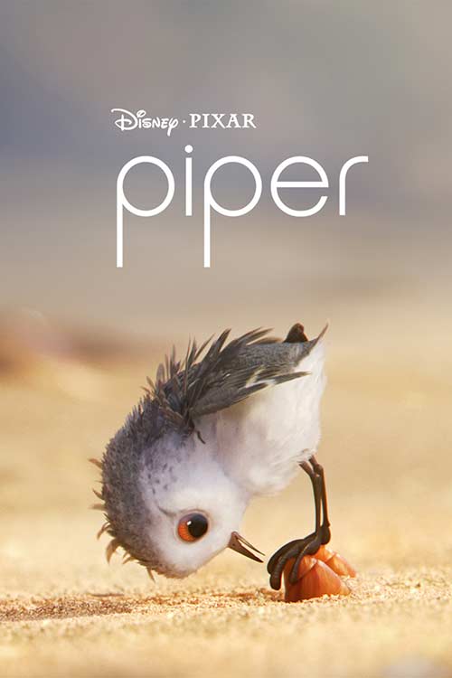 دانلود فیلم Piper 2016