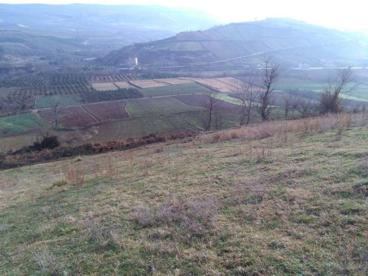 1_14_.jpg (1280×960)