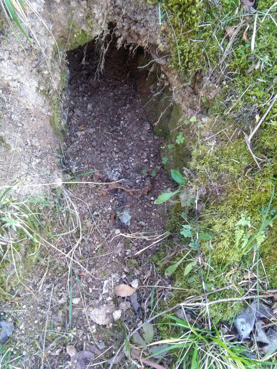 1_18_.jpg (960×1280)