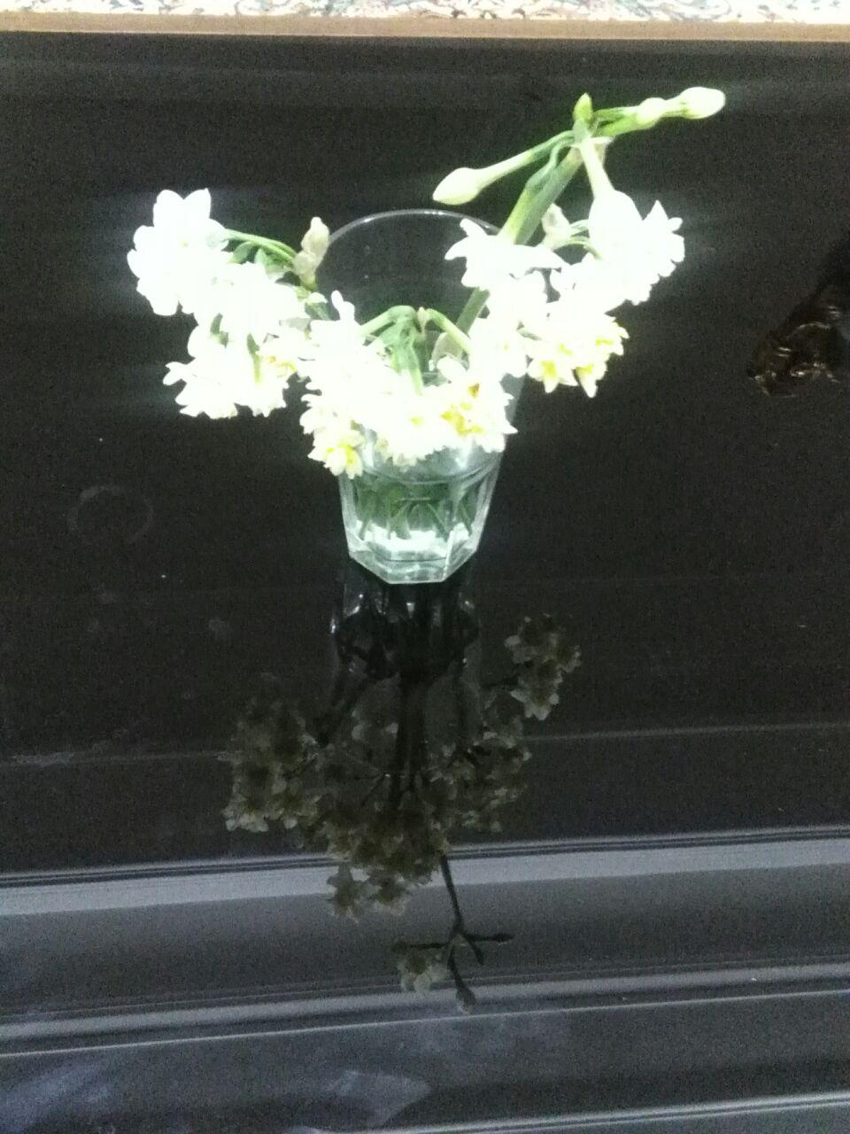 1_30_.jpg (960×1280)