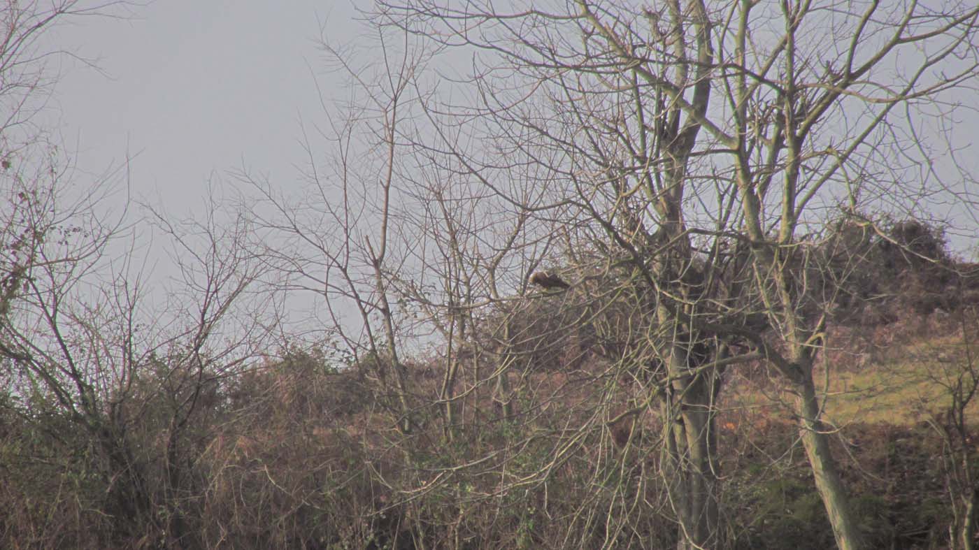 1_41_.jpg (1400×787)