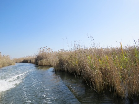 http://s5.picofile.com/file/8285489126/IMG_38551.JPG