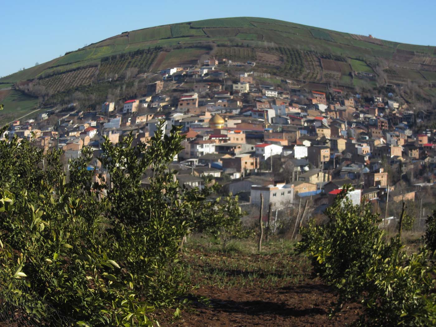 1_6_.jpg (1400×1050)