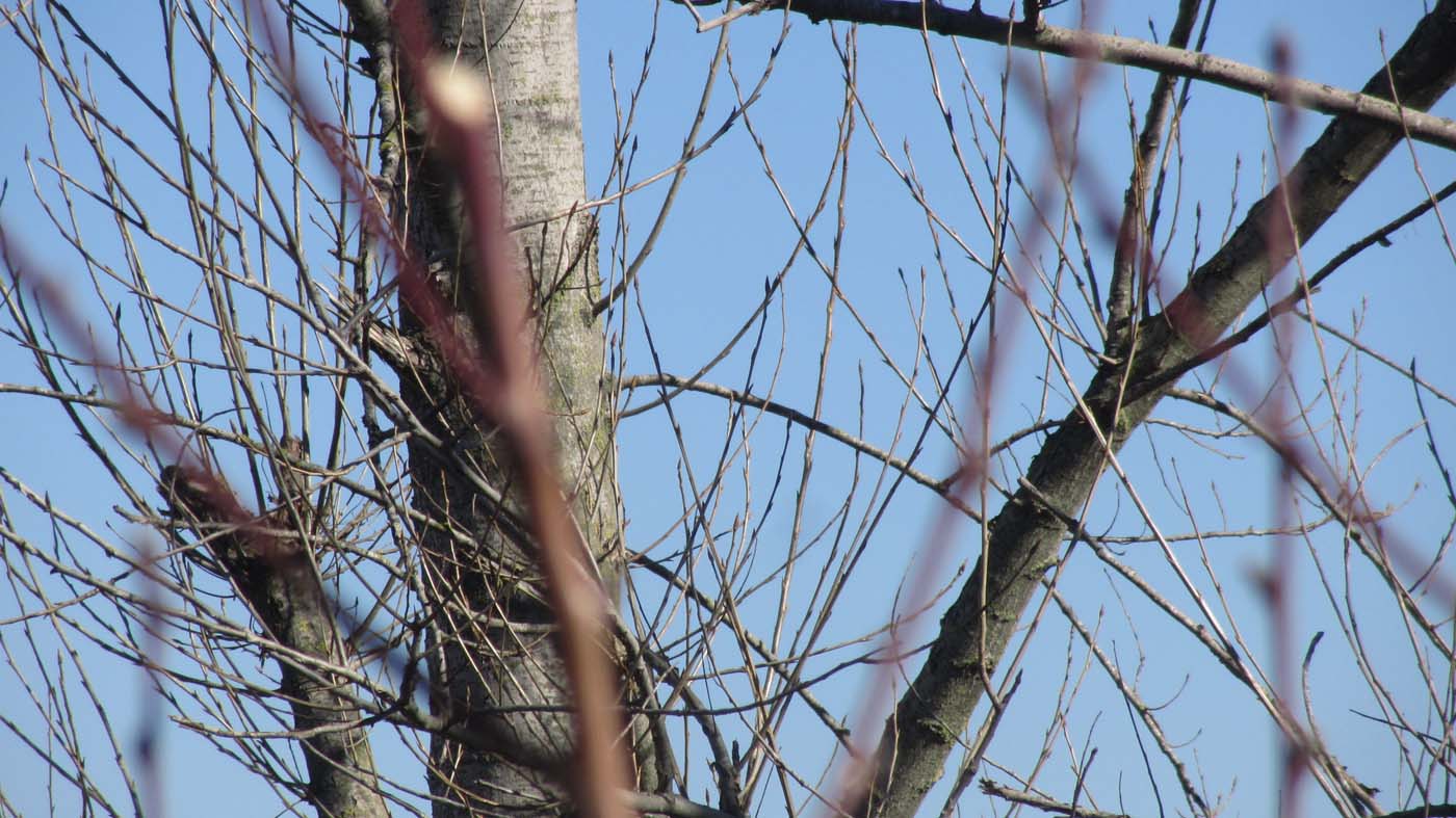 1_16_.jpg (1400×787)