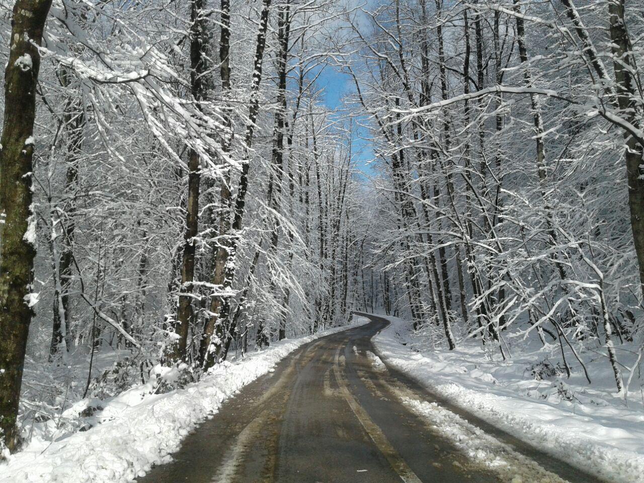 1_4_.jpg (1280×960)