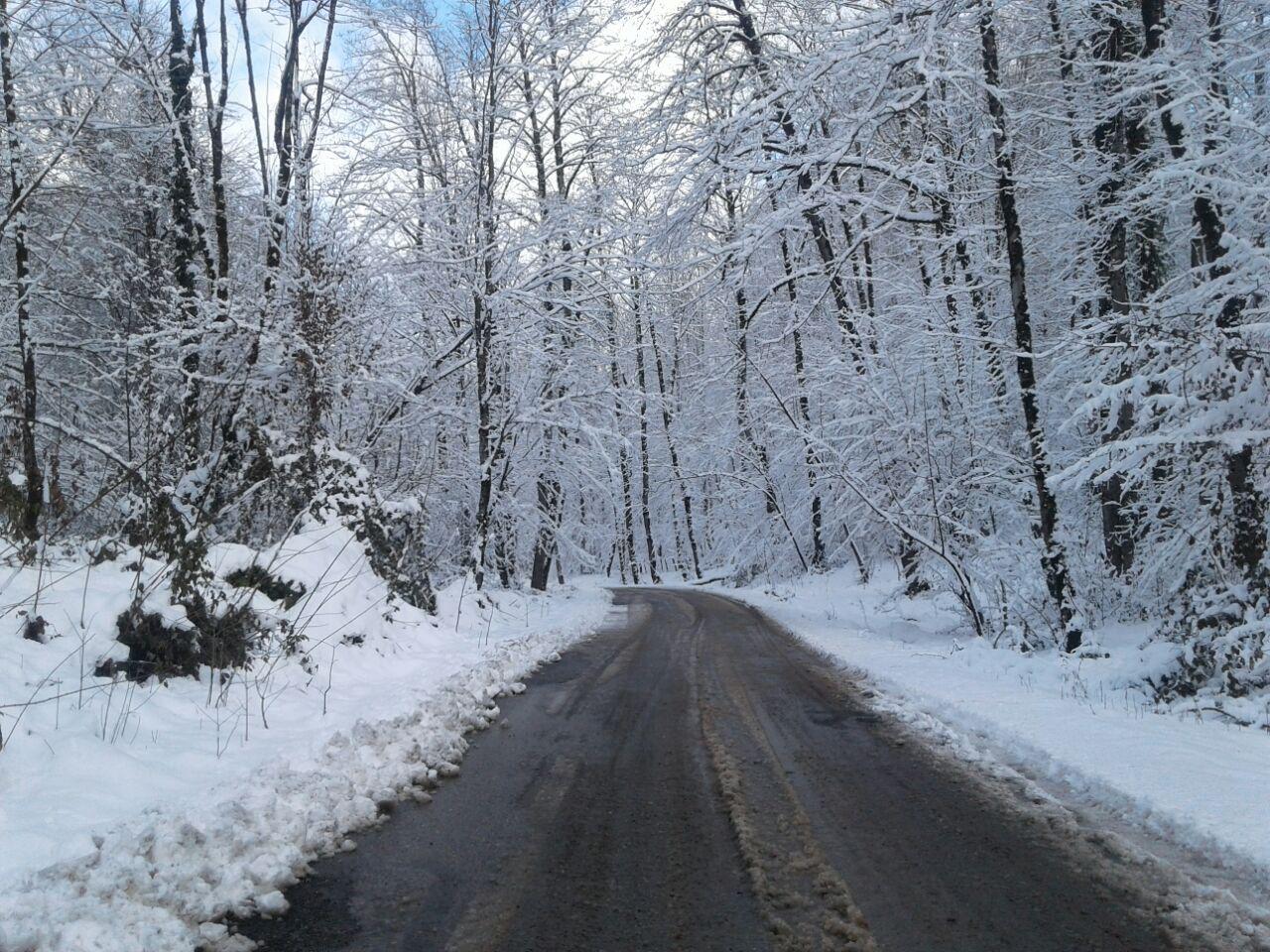 1_10_.jpg (1280×960)