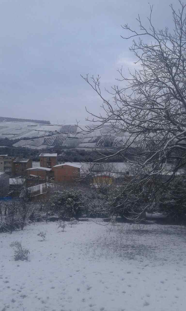 2_1_.jpg (768×1280)