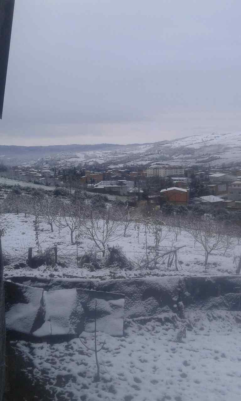 2_3_.jpg (768×1280)