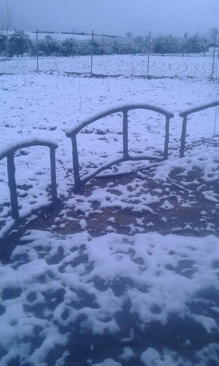 2_6_.jpg (768×1280)