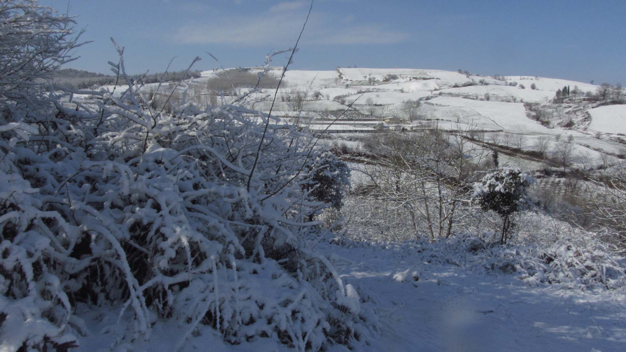 118.JPG (2000×1124)