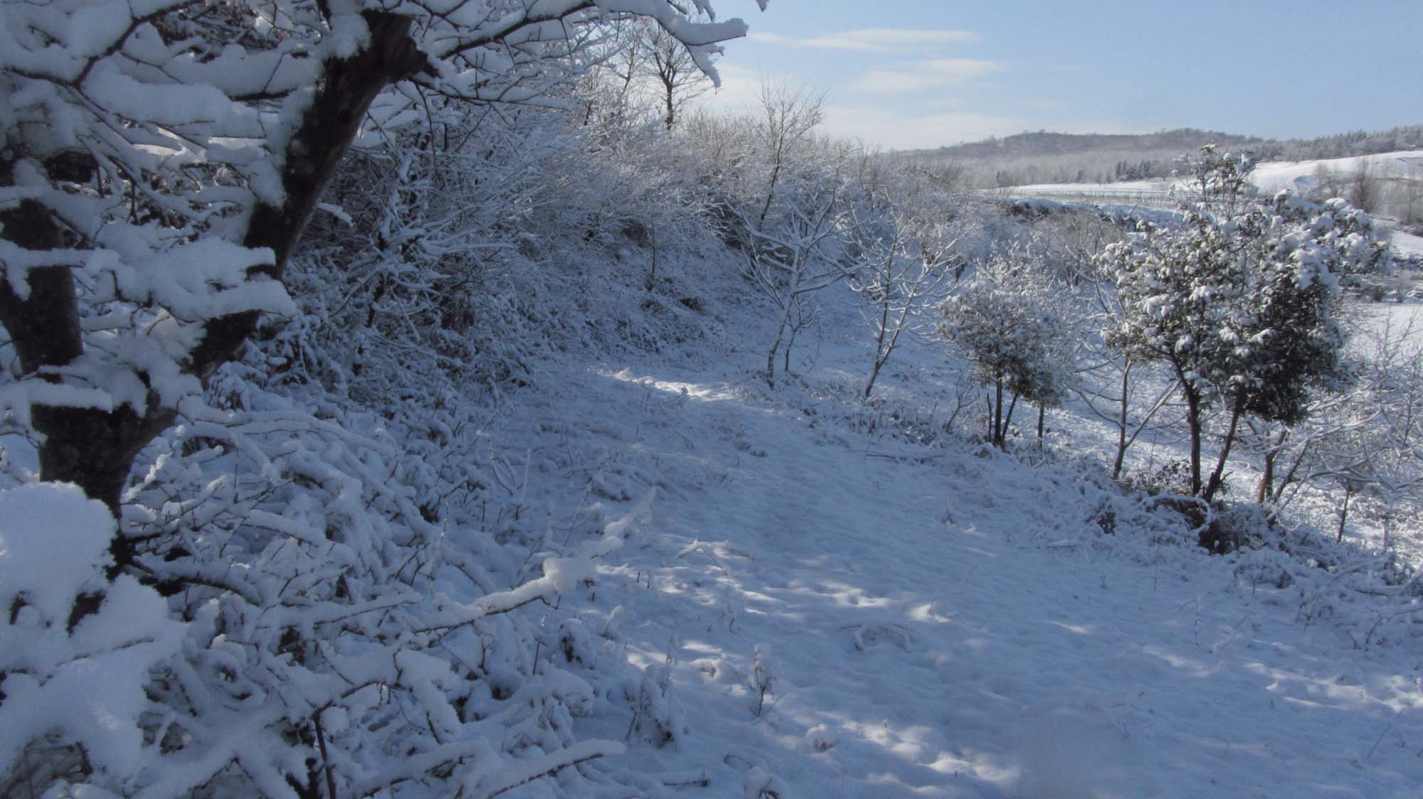 123.JPG (2000×1124)