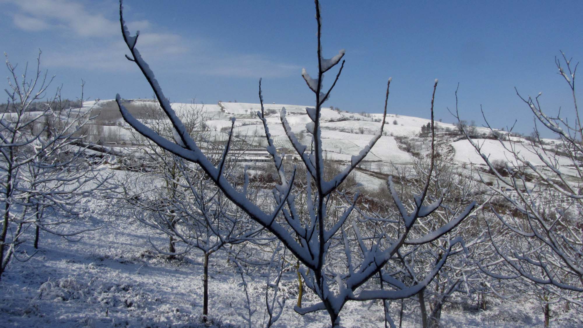 125.JPG (2000×1124)