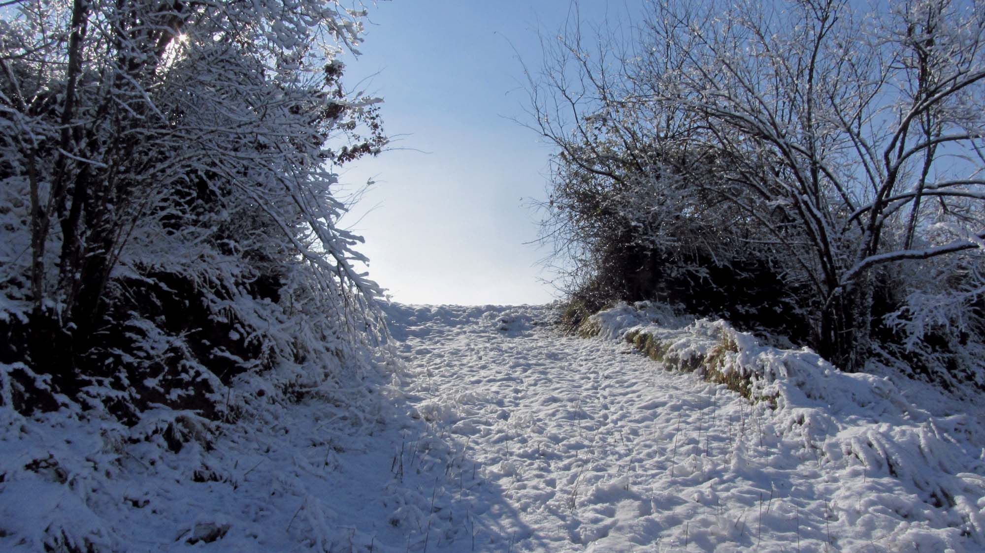 138.JPG (2000×1124)