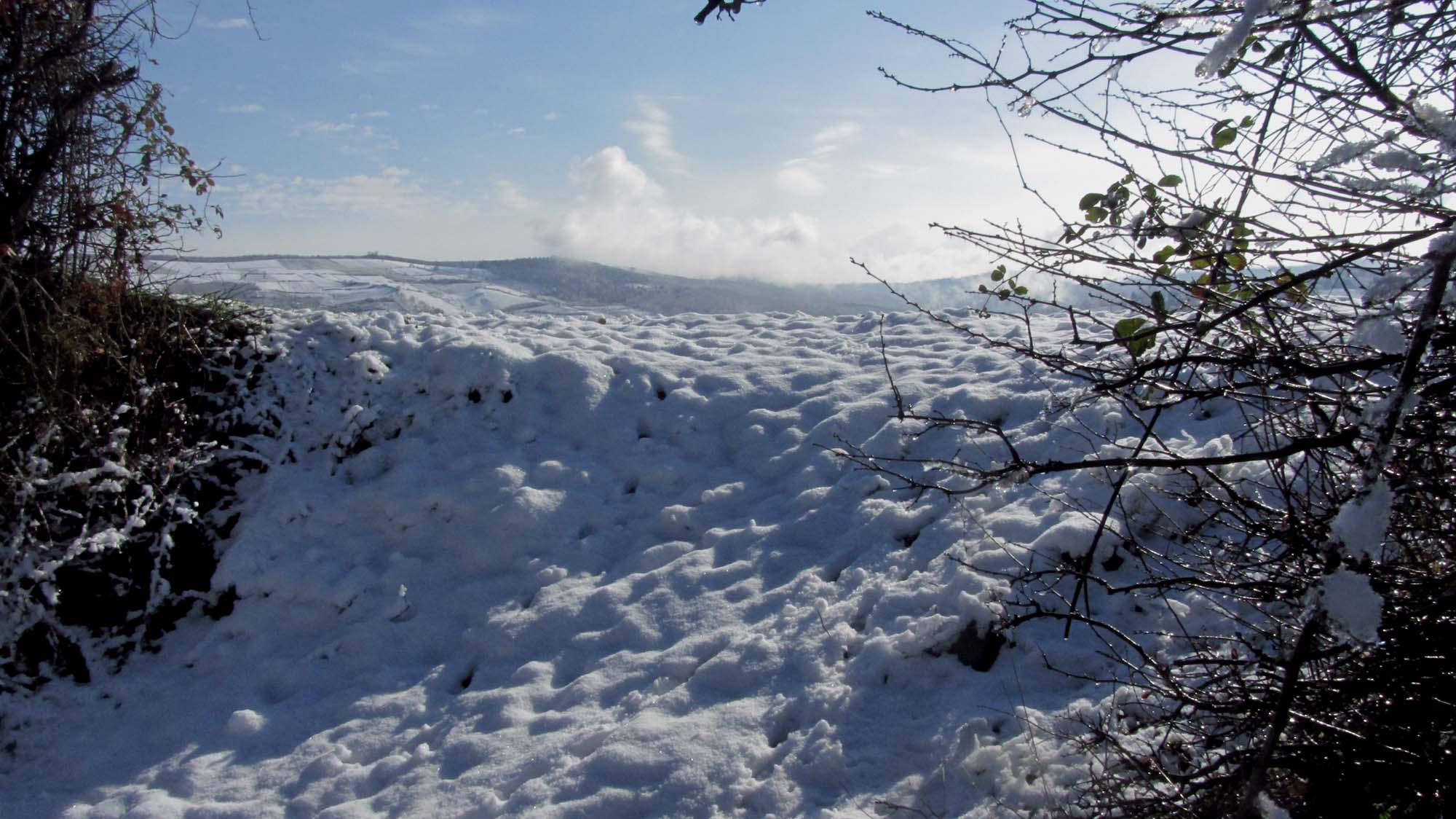 152.JPG (2000×1124)