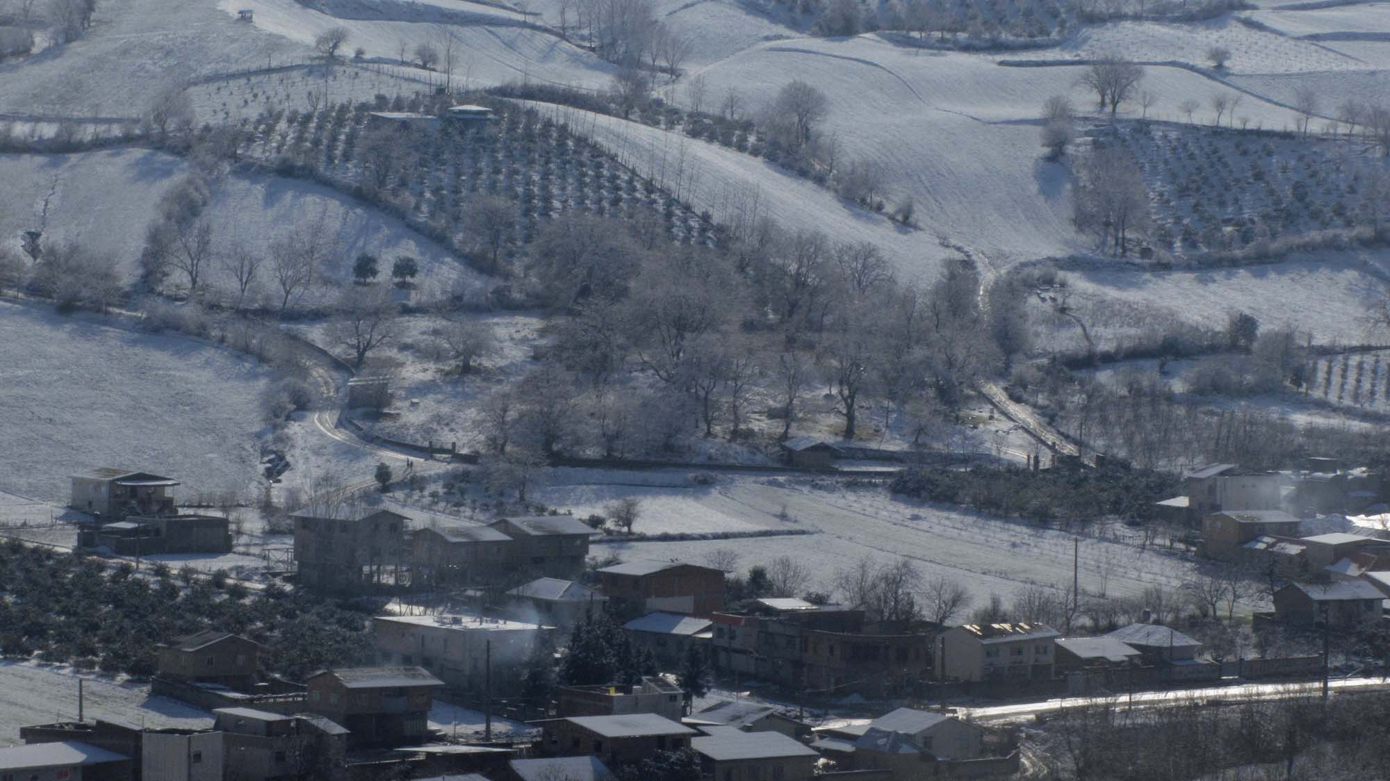 154.JPG (2000×1124)