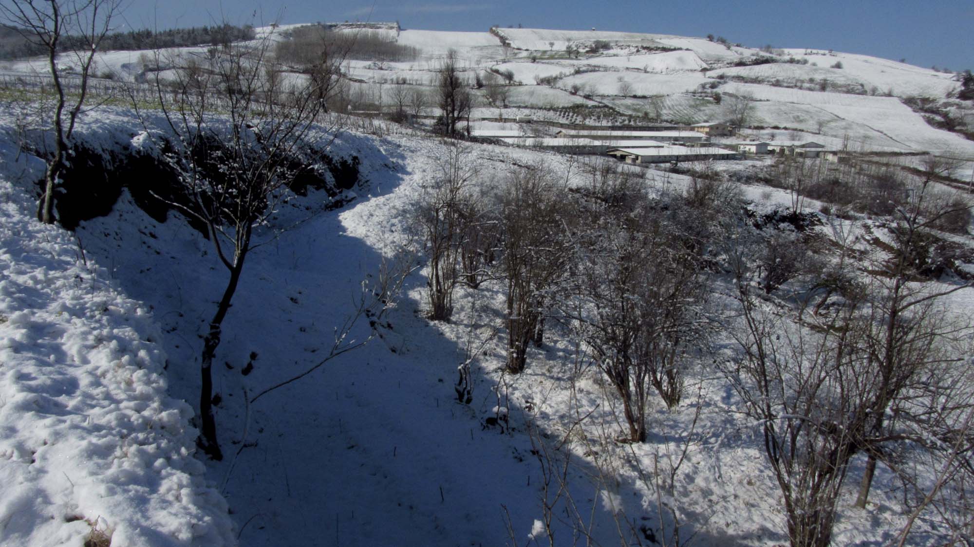 160.JPG (2000×1124)