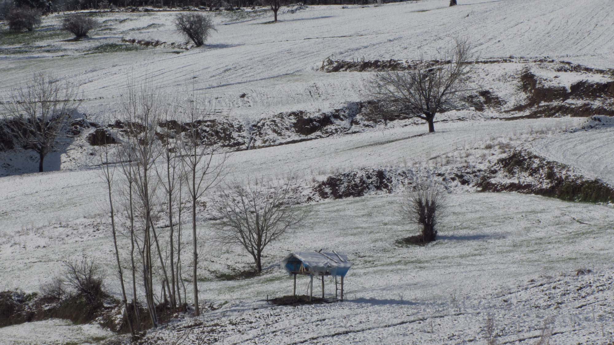 179.JPG (2000×1124)