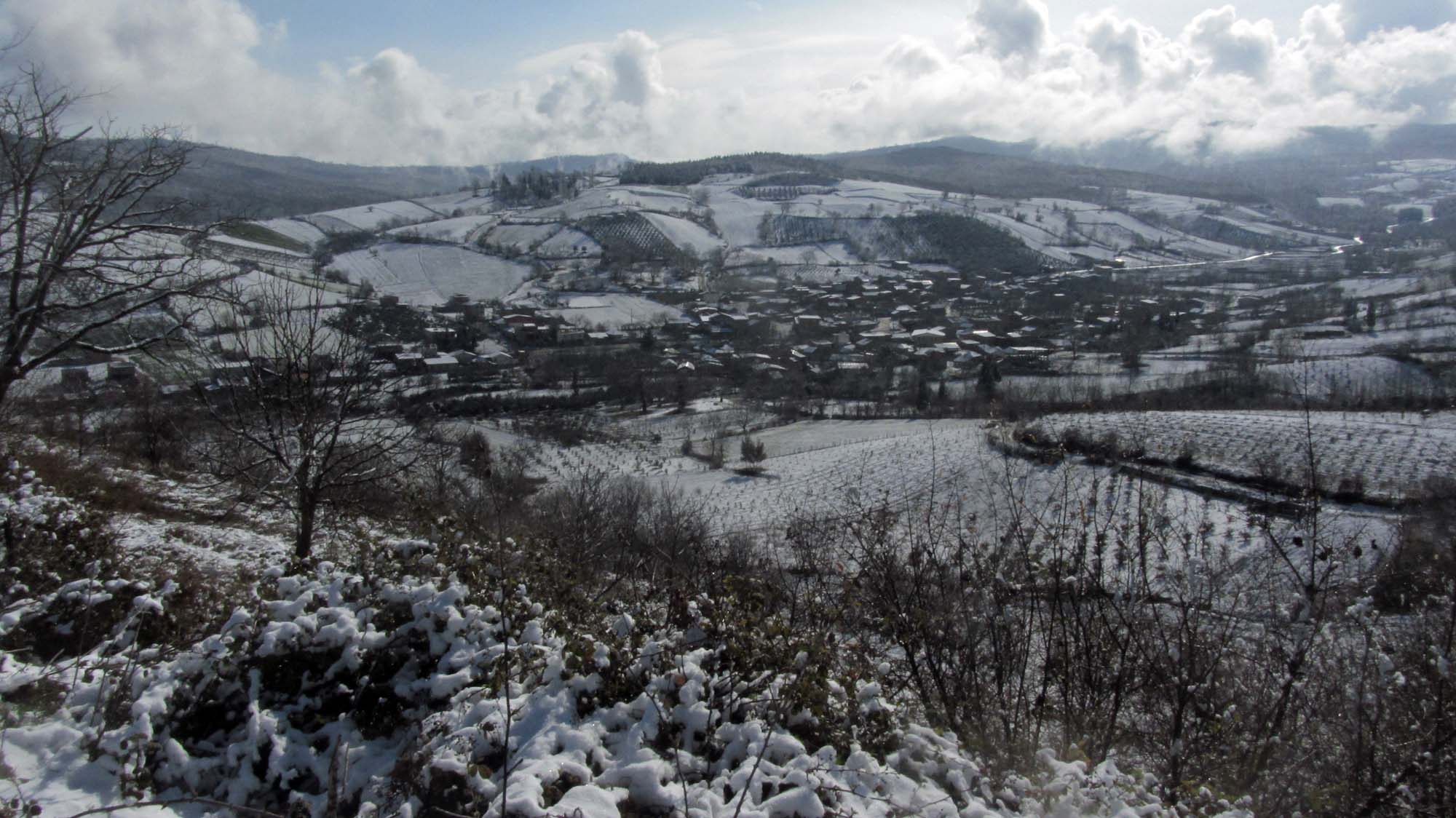 191.JPG (2000×1124)