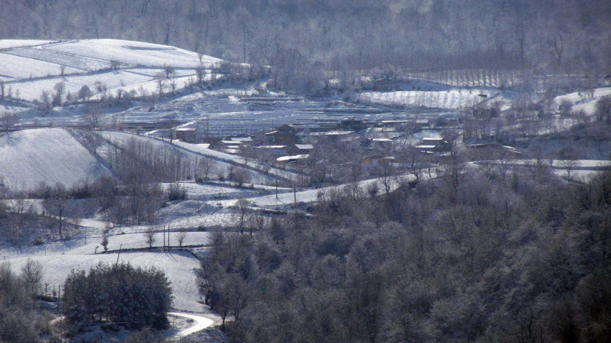 199.JPG (2000×1124)