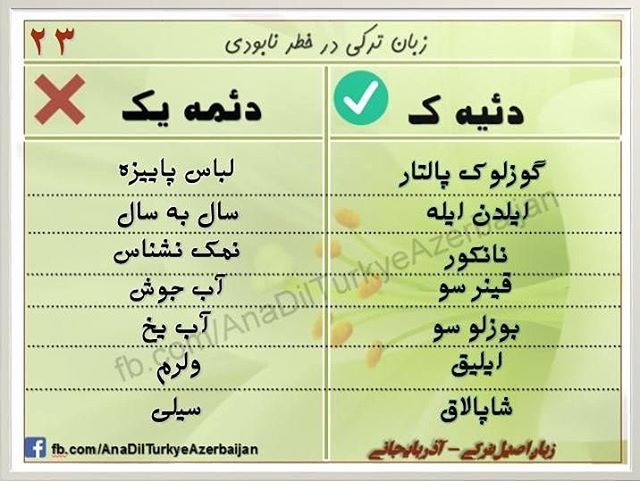 تورکی