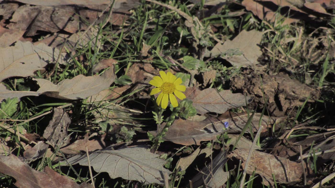 1_23_.jpg (1400×787)