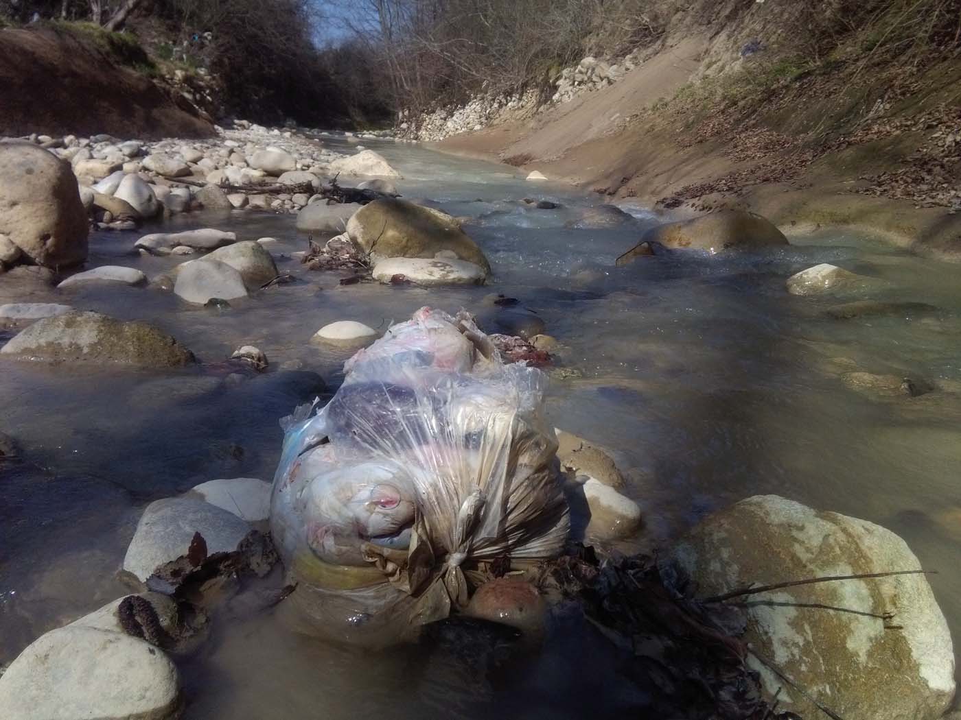 1_48_.jpg (1400×1050)