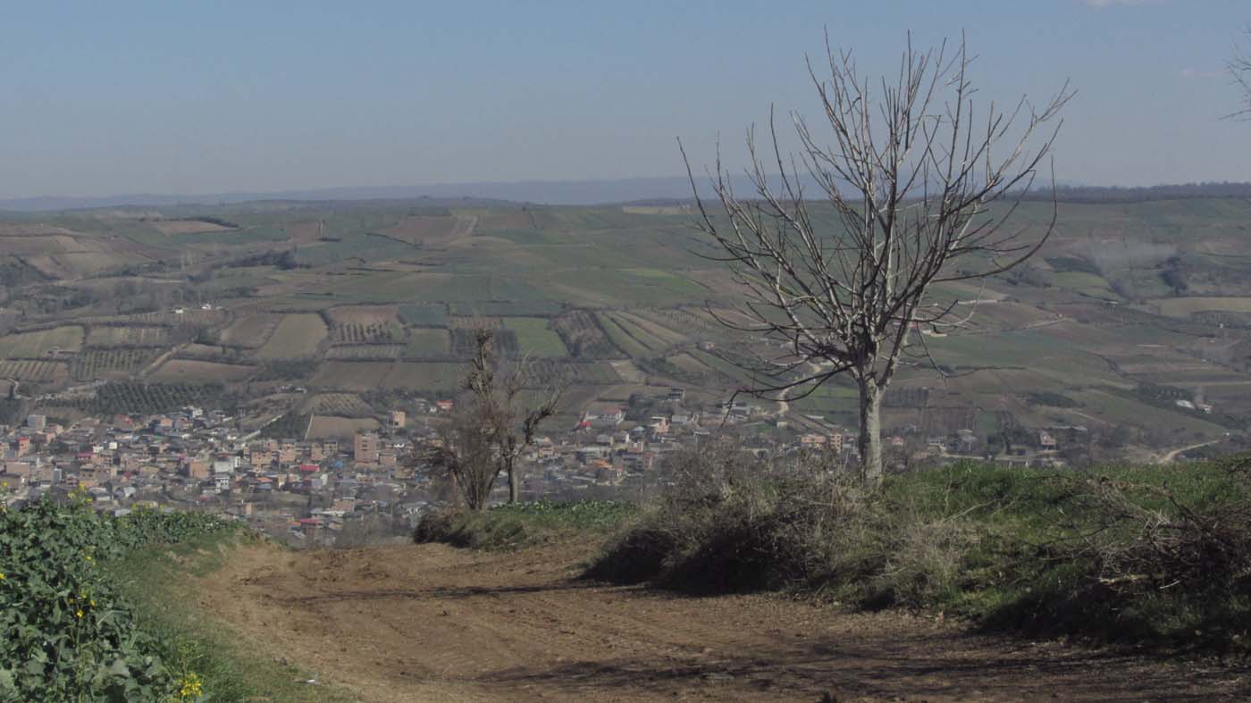 1_68_.JPG (1400×787)